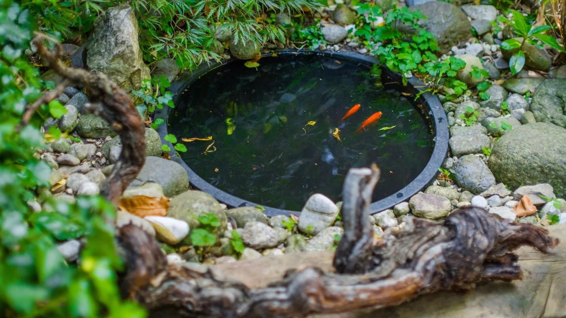 Le Jardin Des Oiseaux Apartment Clans France